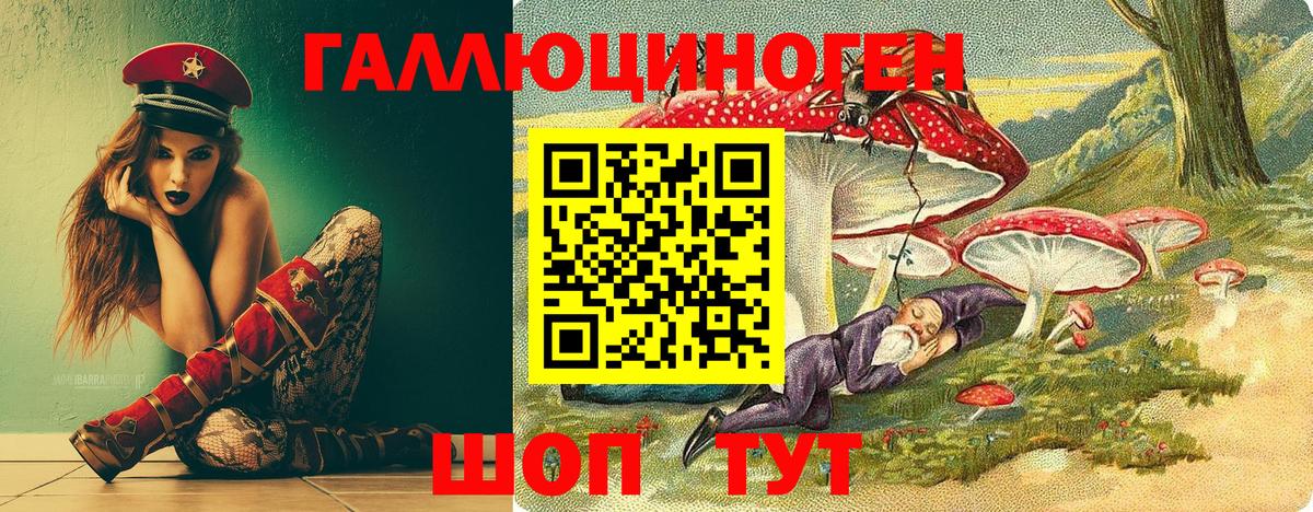 Псилоцибиновые грибы GOLDEN TEACHER Заводоуковск