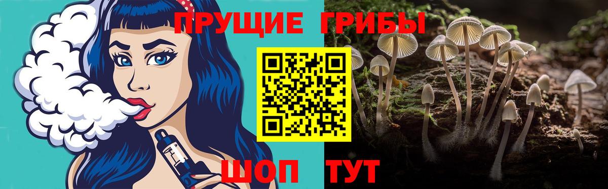 Псилоцибиновые грибы Magic Shrooms  Вход с VPN  Галлюциногенные грибы мицелий  Заводоуковск 